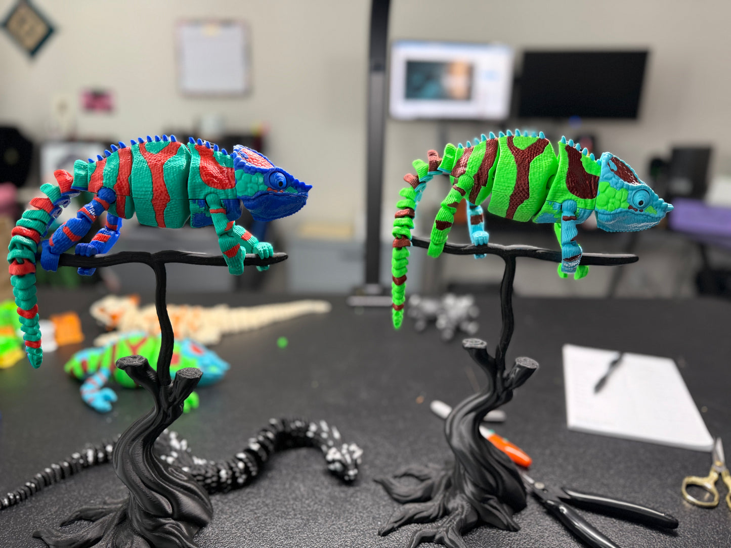 The Panther Chameleon