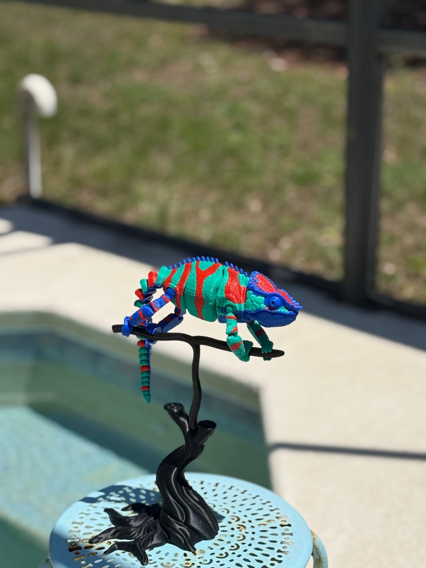 The Panther Chameleon