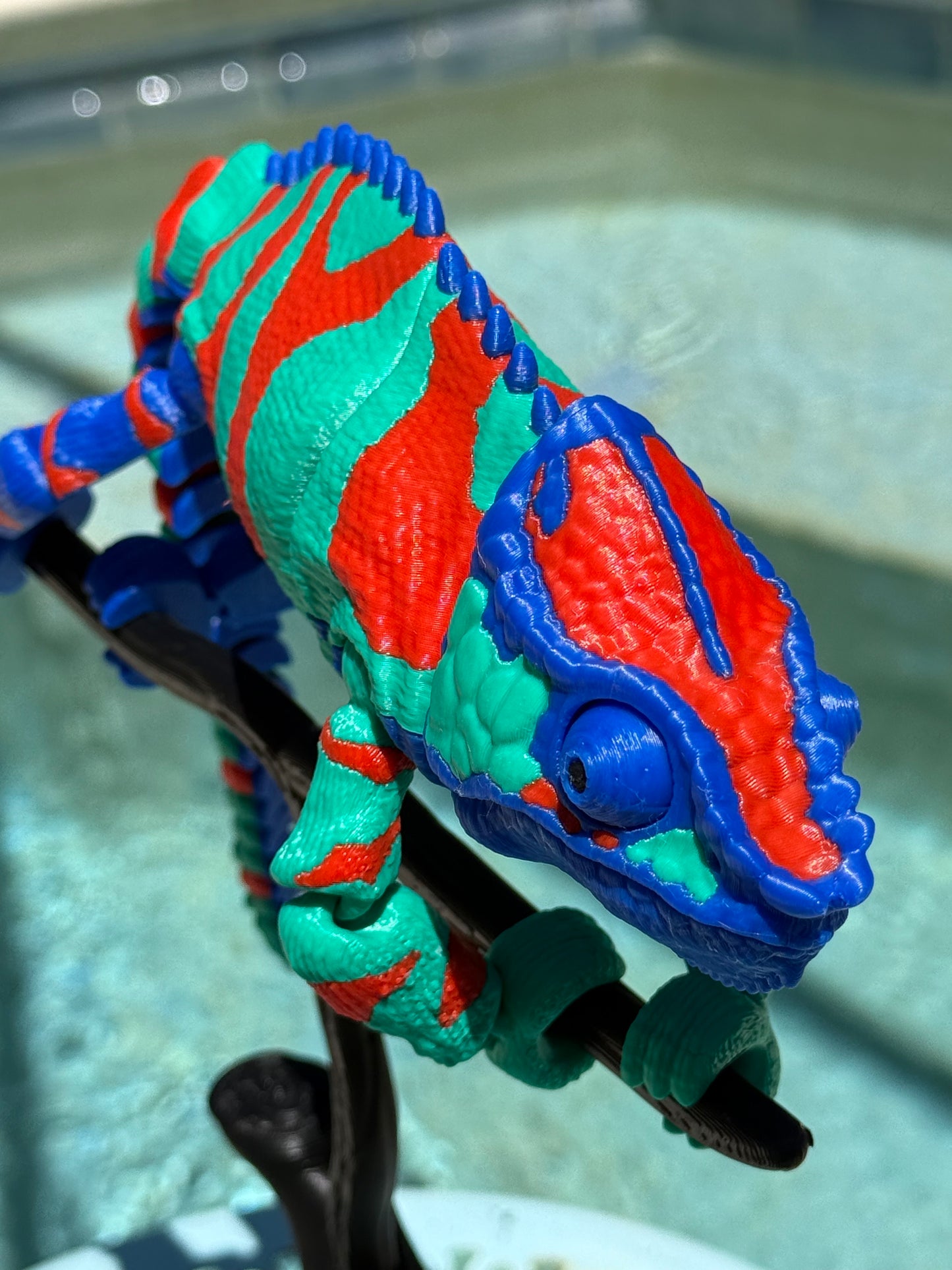 The Panther Chameleon