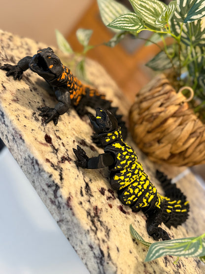 Uromastyx