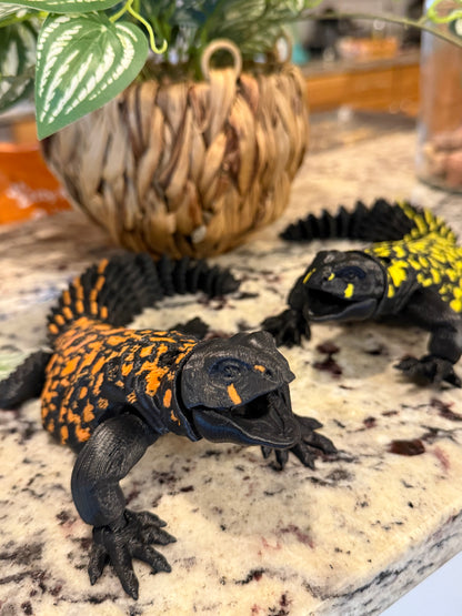 Uromastyx