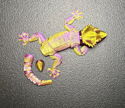 Time to party Mardi Gras Crested Gecko